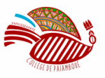 Logo du site Collège de Païamboué